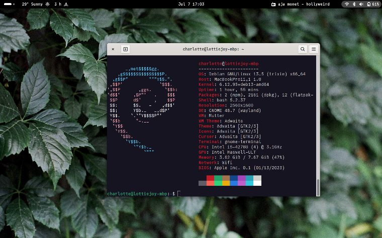 Screen showing the desktop of a laptop running Debian 13. The desktop is empty save for a terminal running hyfetch. Click for full size.