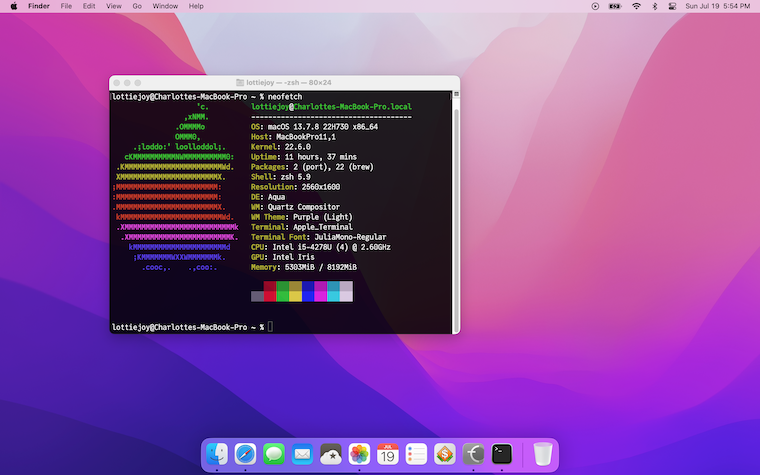 Screen showing the desktop of a laptop running macOS Ventura. The desktop is empty save for a terminal running neofetch. Click for full size.