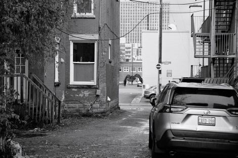 Raven flying away from the woman making a photo of it.