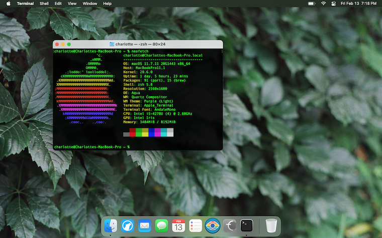 Screen showing a Gnome desktop